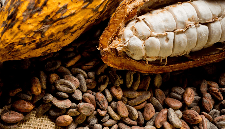 Ceremonial Cacao: Benefits, Serving Sizes & Daily Ritual - Kurai Cacao